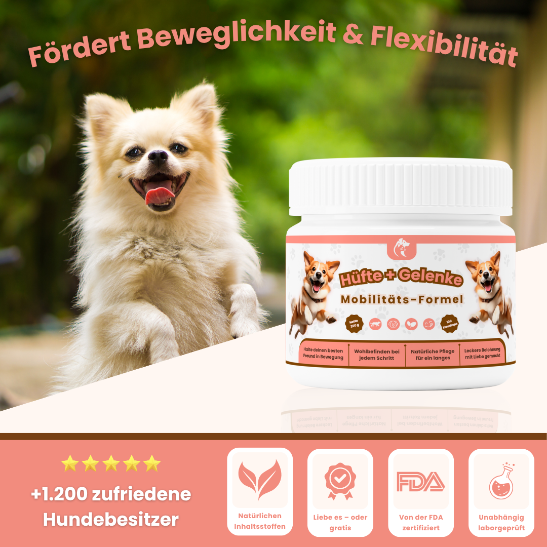 Hüfte + Gelenke Mobilitäts-Formel