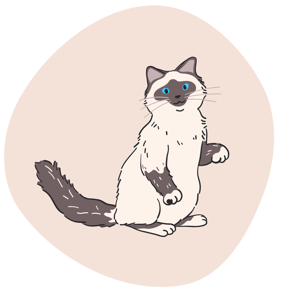 Für Katzen