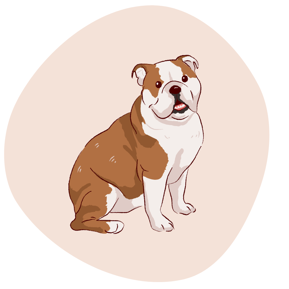 Für Hunde