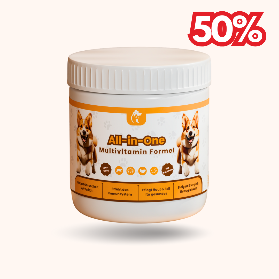 All-in-One Multivitamin Formel