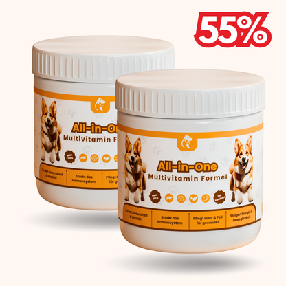 All-in-One Multivitamin Formel