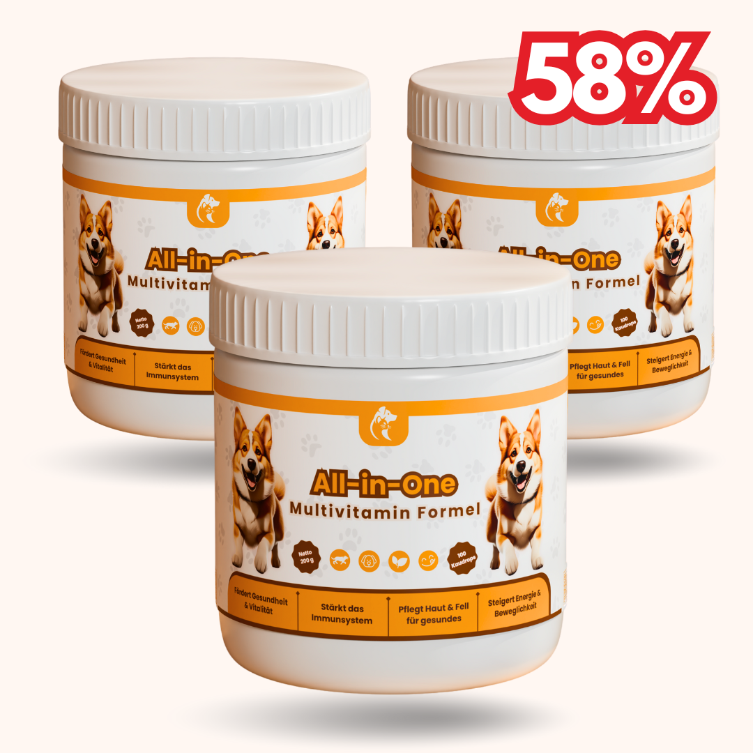 All-in-One Multivitamin Formel