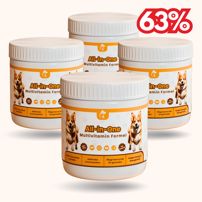 All-in-One Multivitamin Formel