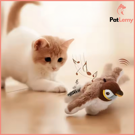 Birdy™