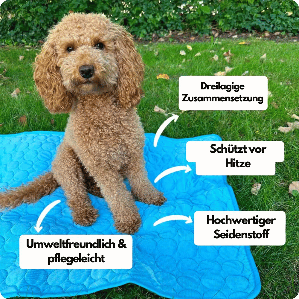About me image