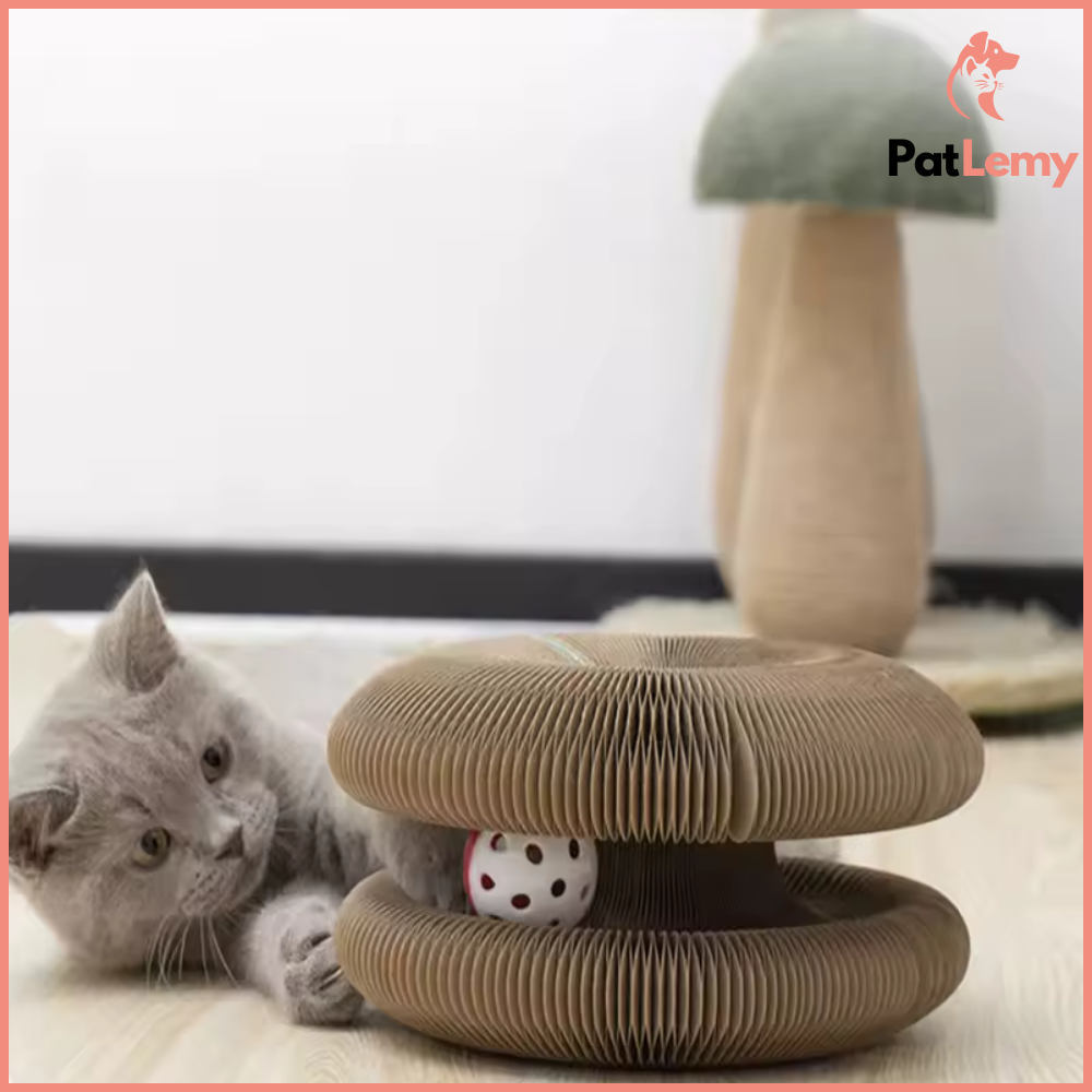 InfinityPaw™