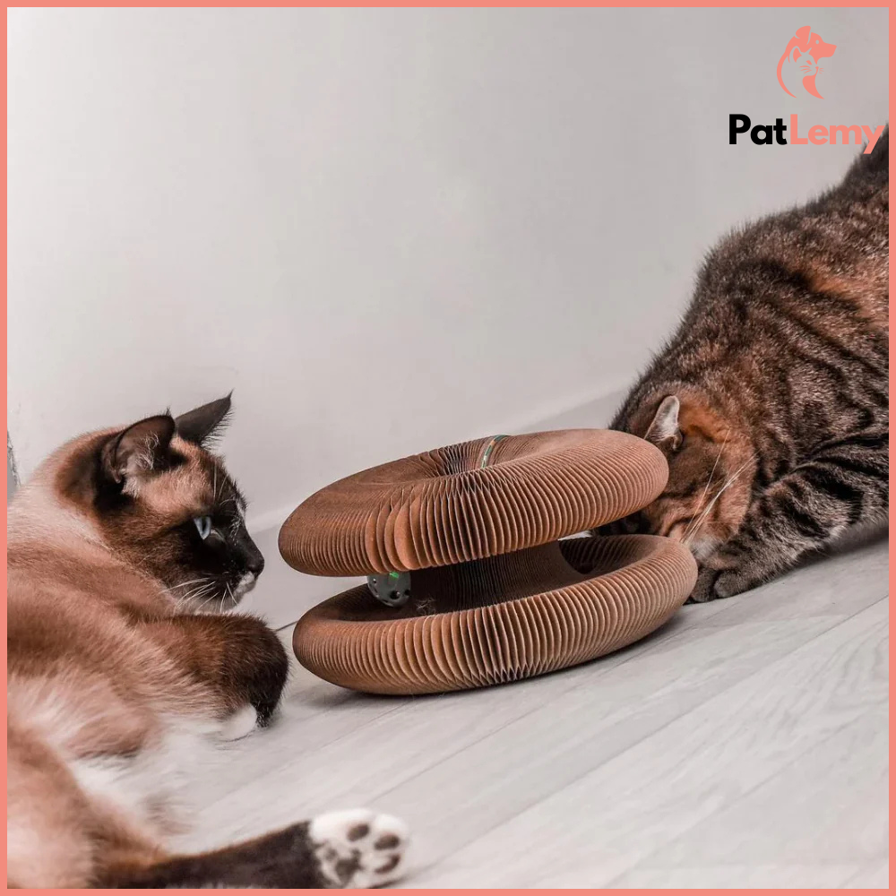 InfinityPaw™