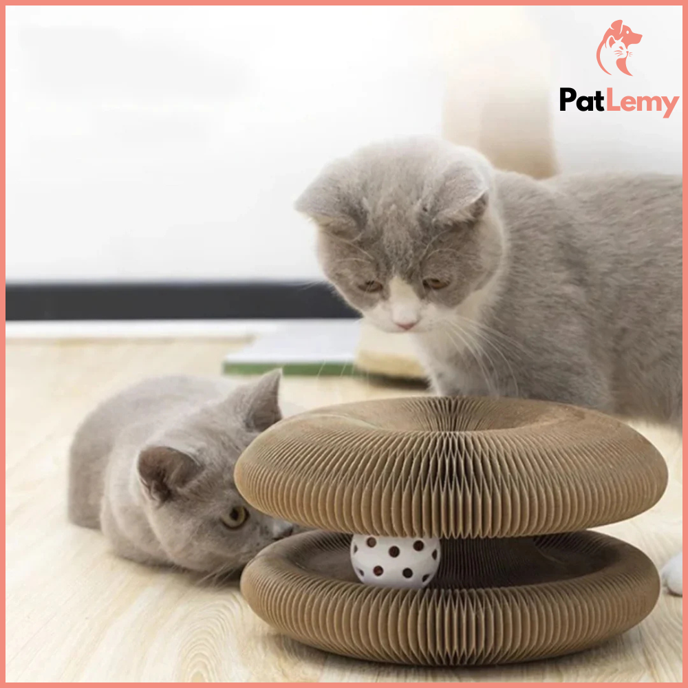 InfinityPaw™