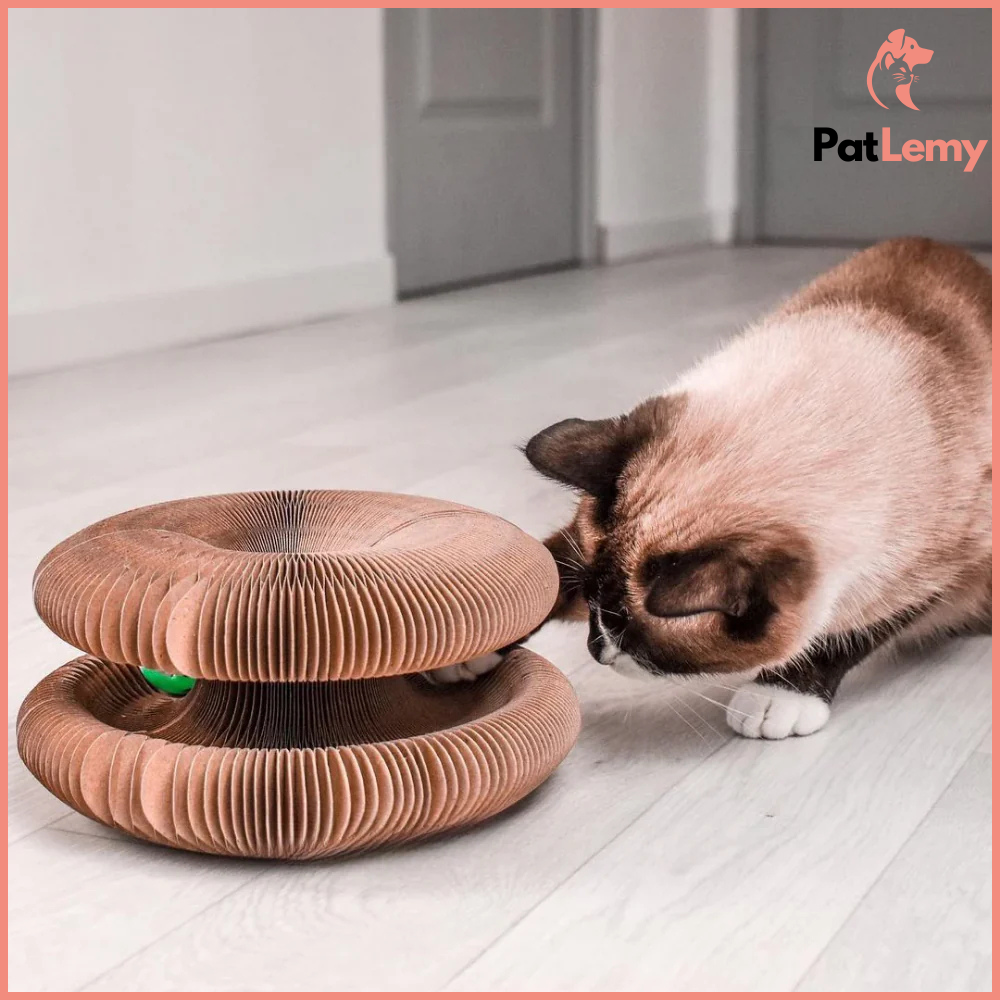 InfinityPaw™