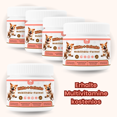 Ultimatives Gesundheits-Paket